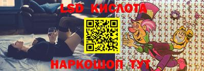 гидропоника Краснодар