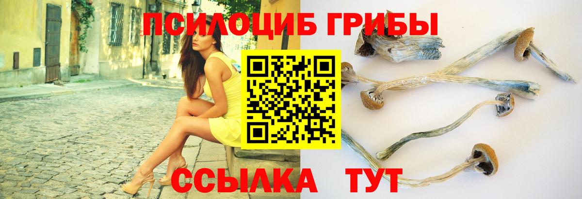 Псилоцибиновые грибы мухоморы Киселёвск