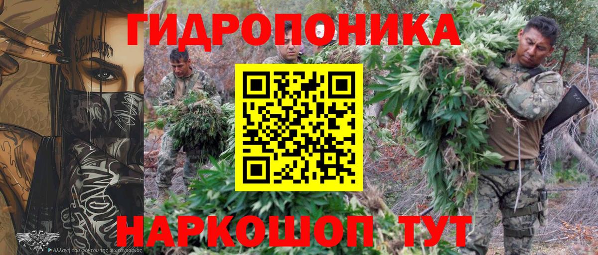 Конопля White Widow  Каннабис индика  Вход с VPN  Киселёвск  Бошки Шишки ГИДРОПОН 